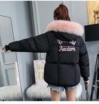 Casual Women's Fur Collar Winter Outerwear Coat