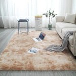 Large Modern Style Fluffy Carpet