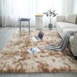 Large Modern Style Fluffy Carpet