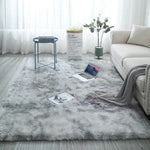 Large Modern Style Fluffy Carpet