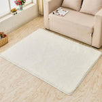 Modern Super Soft Rectangle Carpet For Home