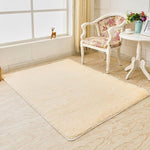 Modern Super Soft Rectangle Carpet For Home