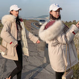 High Quality Women's Winter Jacket