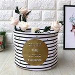 Stylish Storage Boxes