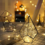 5M 50 LED Battery Operated LED Copper Wire String Lights