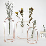 Nordic Style Iron Metal Art Glass Flower Vases