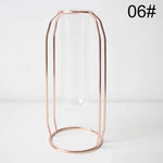 Nordic Style Iron Metal Art Glass Flower Vases